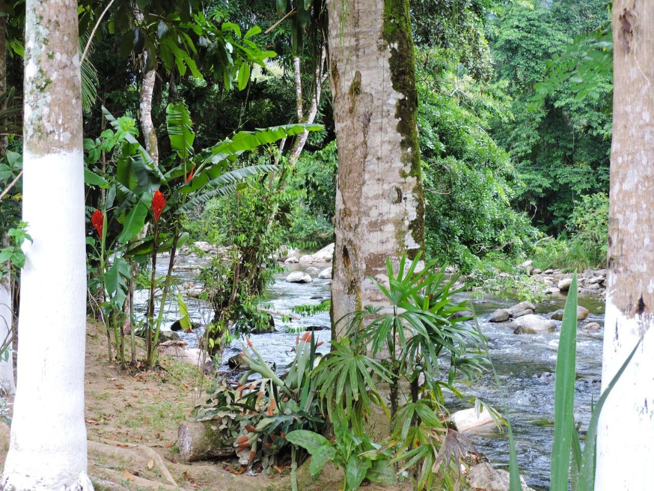 Pousada Da Cachoeira Taquari Araquari Exterior foto